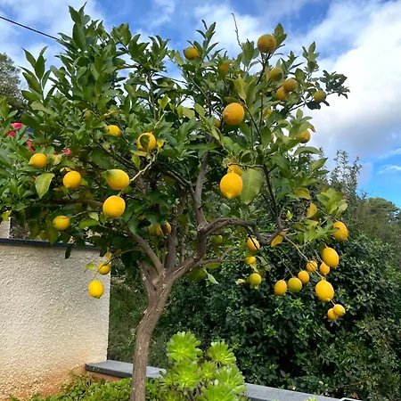 Lemon And Sun Villa *